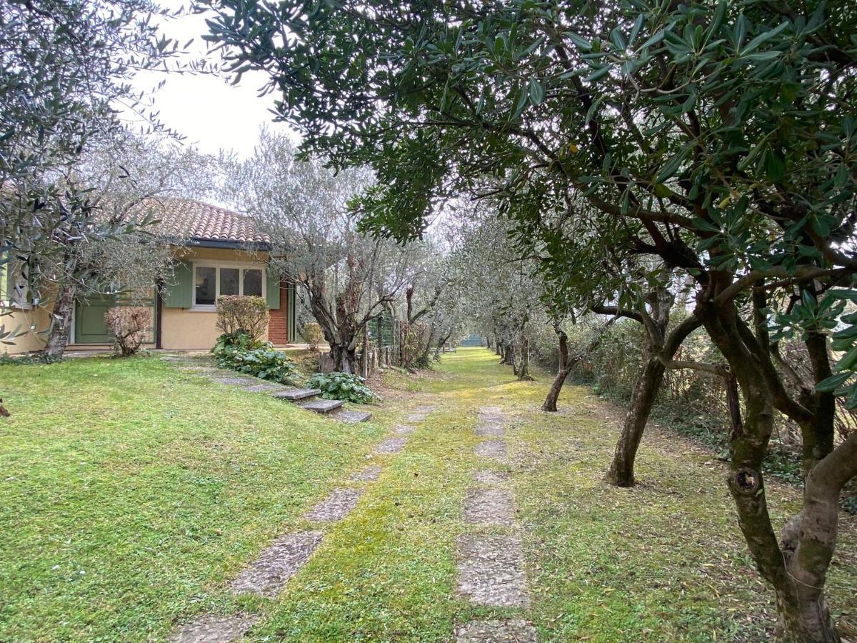 Villa Sweet Flower - With Private Pool And Garden Manerba del Garda Eksteriør billede